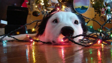 10 Not-So-Happy Snaps
