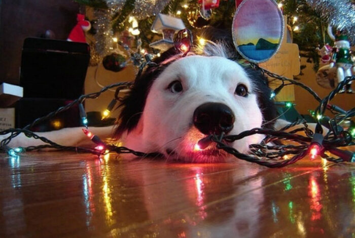 10 Not-So-Happy Snaps 10 Not-So-Happy Snaps