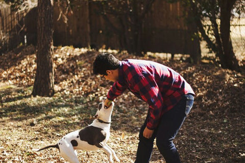 Do these if a dog bites you Do these if a dog bites you