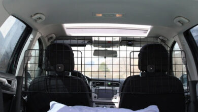 Dog Car Barrier vs. Crate: Which Is Better?