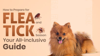 How to Prepare for Flea and Tick Season: Your All-Inclusive Guide