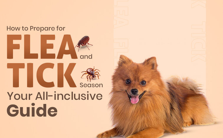 How to Prepare for Flea and Tick Season: Your All-Inclusive Guide