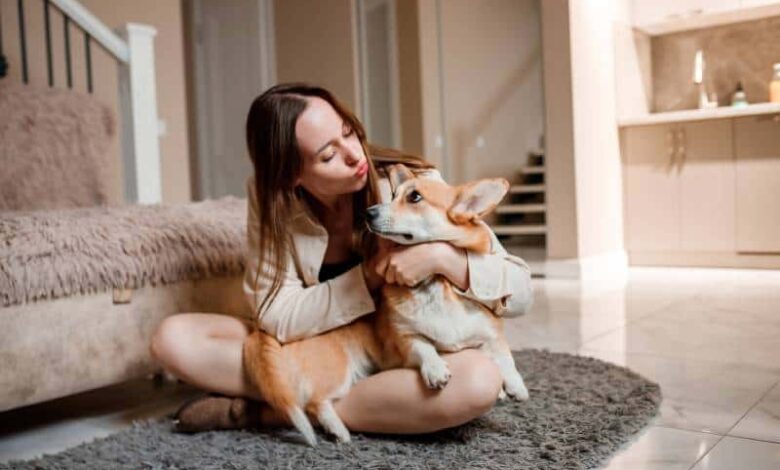 How to Potty Train a Corgi: 10 Expert Tips How to Potty Train a Corgi: 10 Expert Tips