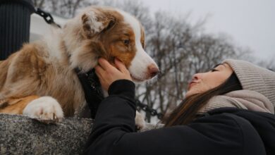15 Emotional Dog Breeds That Know Exactly How You Feel