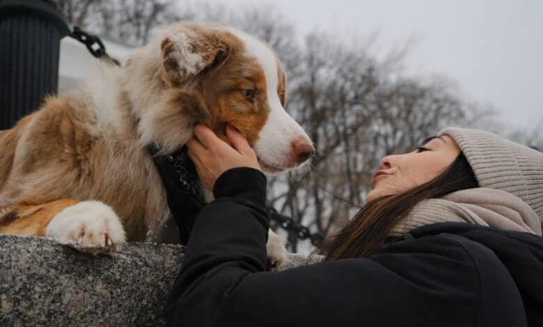 15 Emotional Dog Breeds That Know Exactly How You Feel 15 Emotional Dog Breeds That Know Exactly How You Feel