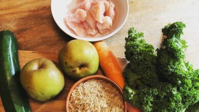 Healthy, High Protein Dog Food Recipe