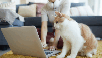 Letter to the BlogPaws Community: Don’t Worry, Blogging is NOT Dead!