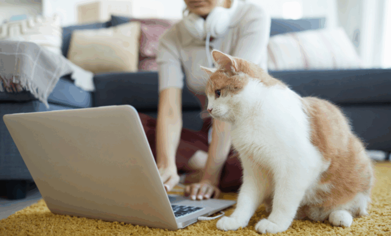 Letter to the BlogPaws Community: Don’t Worry, Blogging is NOT Dead!