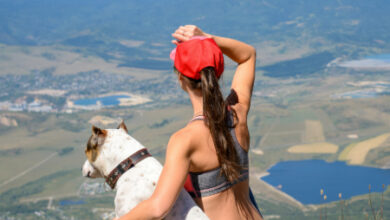 Dogs and Outdoor Safety: Tips for Hiking with Your Canine Companion