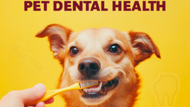 The Comprehensive Guide to Pet Dental Health
