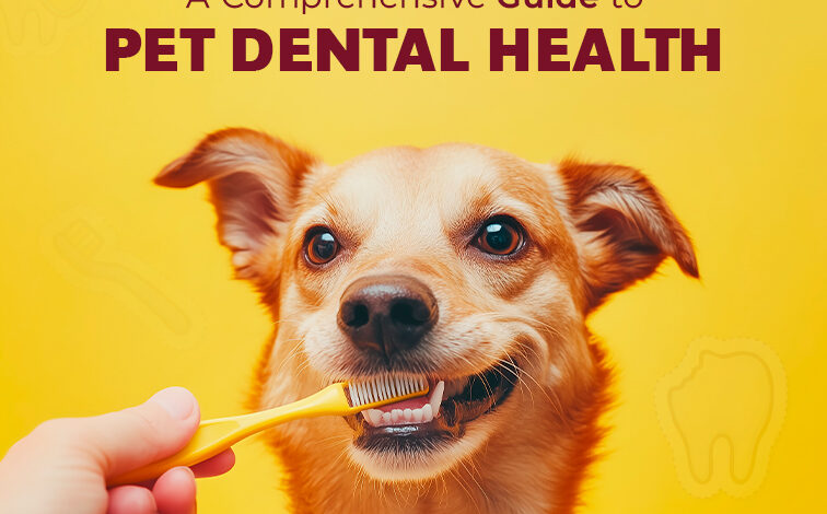 The Comprehensive Guide to Pet Dental Health