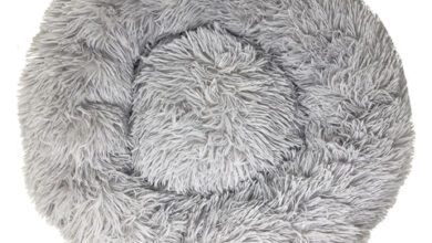 Top 5 Dog Beds for Ultimate Comfort – Pet Life