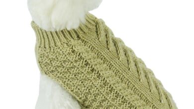 Comfortable and Stylish Pet Apparel – Pet Life