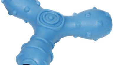 Interactive Toys for Active Dogs – Pet Life