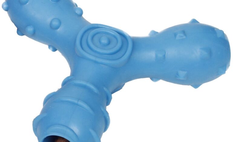 Interactive Toys for Active Dogs – Pet Life