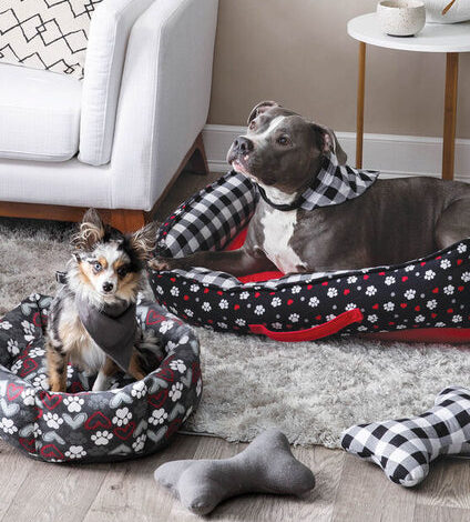 Top 10 Products to Enhance Your Pet’s Comfort at Home – Pet Life Top 10 Products to Enhance Your Pet’s Comfort at Home – Pet Life