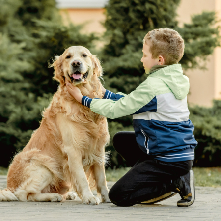 How Dogs Can Help with Autism Spectrum Disorders: Canine Companionship How Dogs Can Help with Autism Spectrum Disorders: Canine Companionship