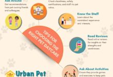Pet News & Articles | Urban Pet Hospital Blog