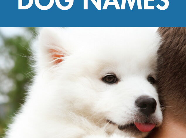 500 Unique Dog Names – Puppy Leaks 500 Unique Dog Names – Puppy Leaks