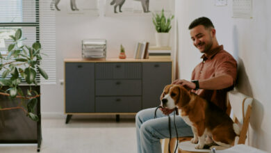 How to Create a Dog-Friendly Office: Enhancing Workplace Culture
