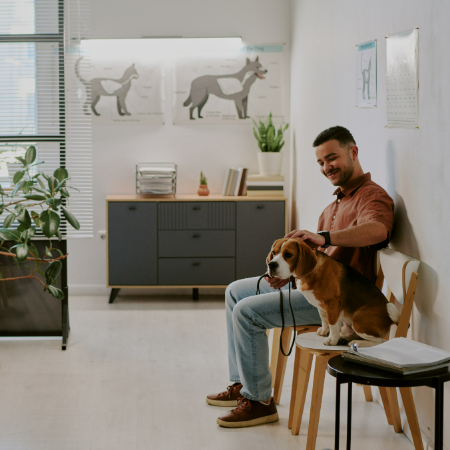 How to Create a Dog-Friendly Office: Enhancing Workplace Culture How to Create a Dog-Friendly Office: Enhancing Workplace Culture