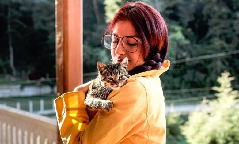 How Much Attention Do Cats Need: Signs & Care Tips How Much Attention Do Cats Need: Signs & Care Tips
