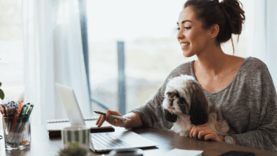 Most Important Google Analytics Metrics for Bloggers and Content Creators