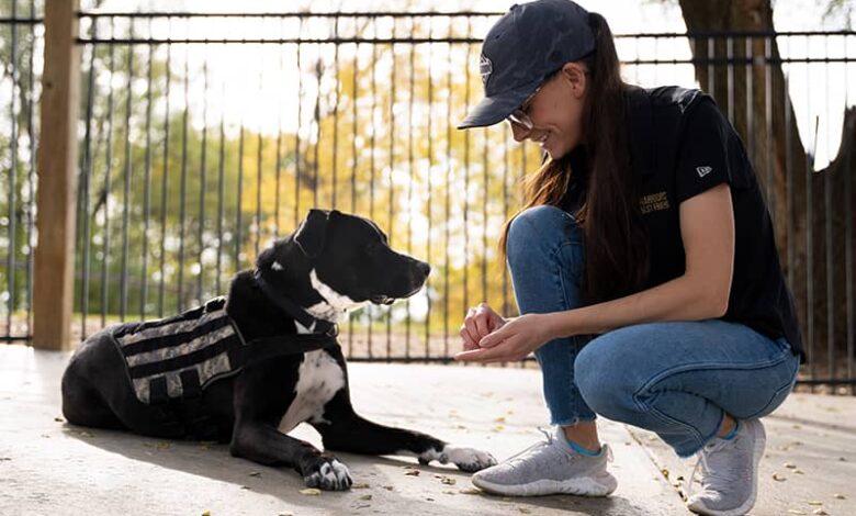 Warriors’ Best Friend: Meet Gregory! Warriors’ Best Friend: Meet Gregory!